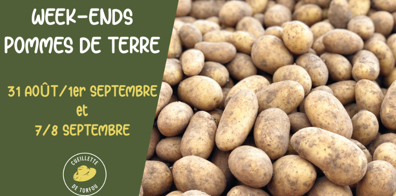 week-end pommes de terre